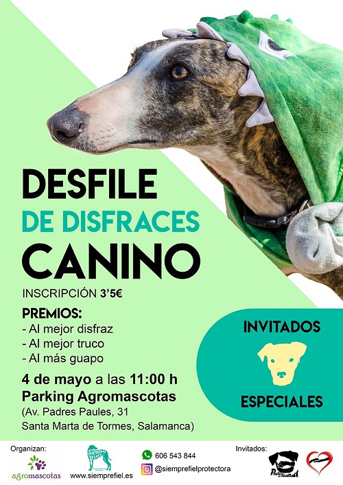 DESFILE DE DISFRACES CANINO