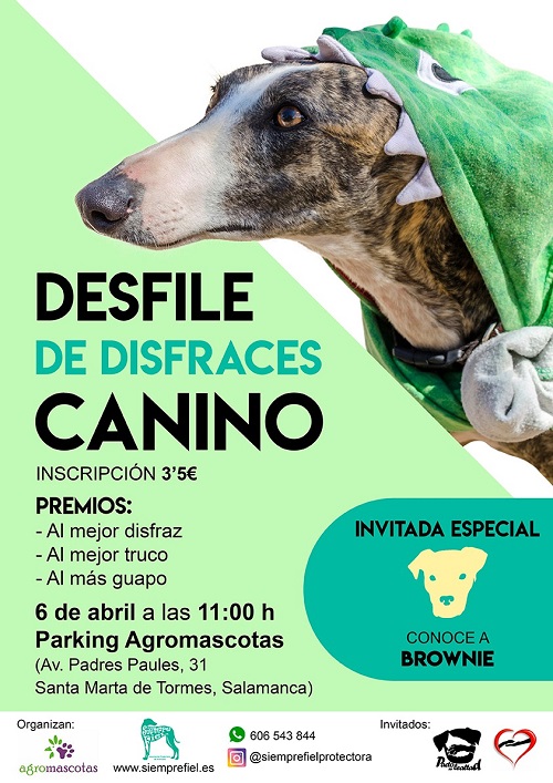 DESFILE DE DISFRACES CANINO