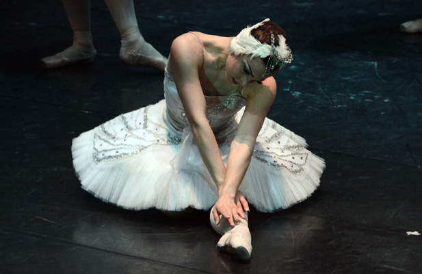 Lago de los Cisnes (internationalballetcompany)